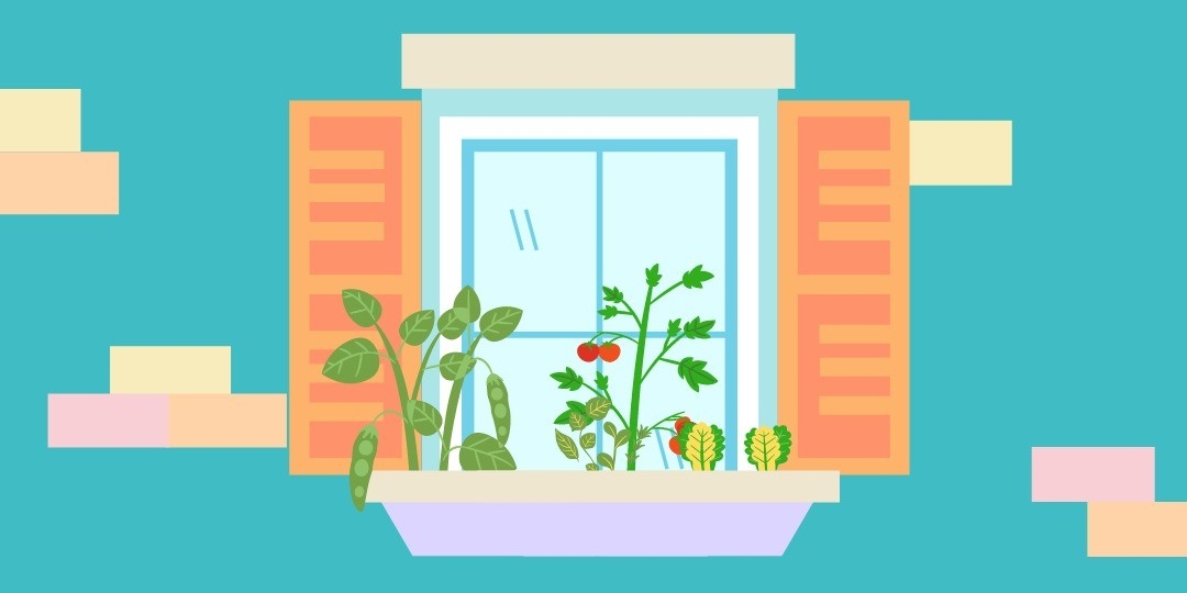 Illustration of blue brick building window and plants growing in hanging planter