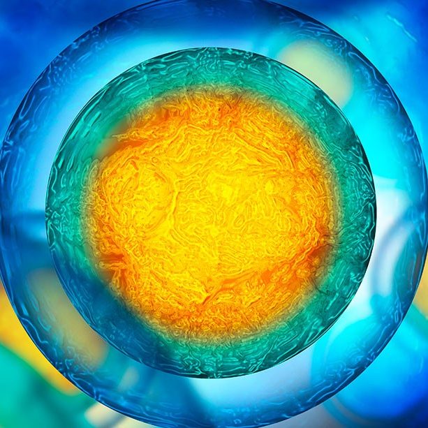 A colourful picture of a cell. A colourful picture of a cell.