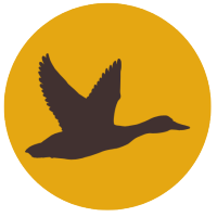 SHIFT logo goose SHIFT logo goose