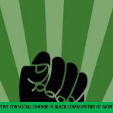 A graphic of a black fist on a green background.