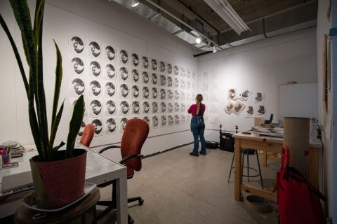 Studio Arts  (MFA)