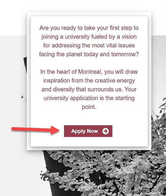 Apply Now button screenshot