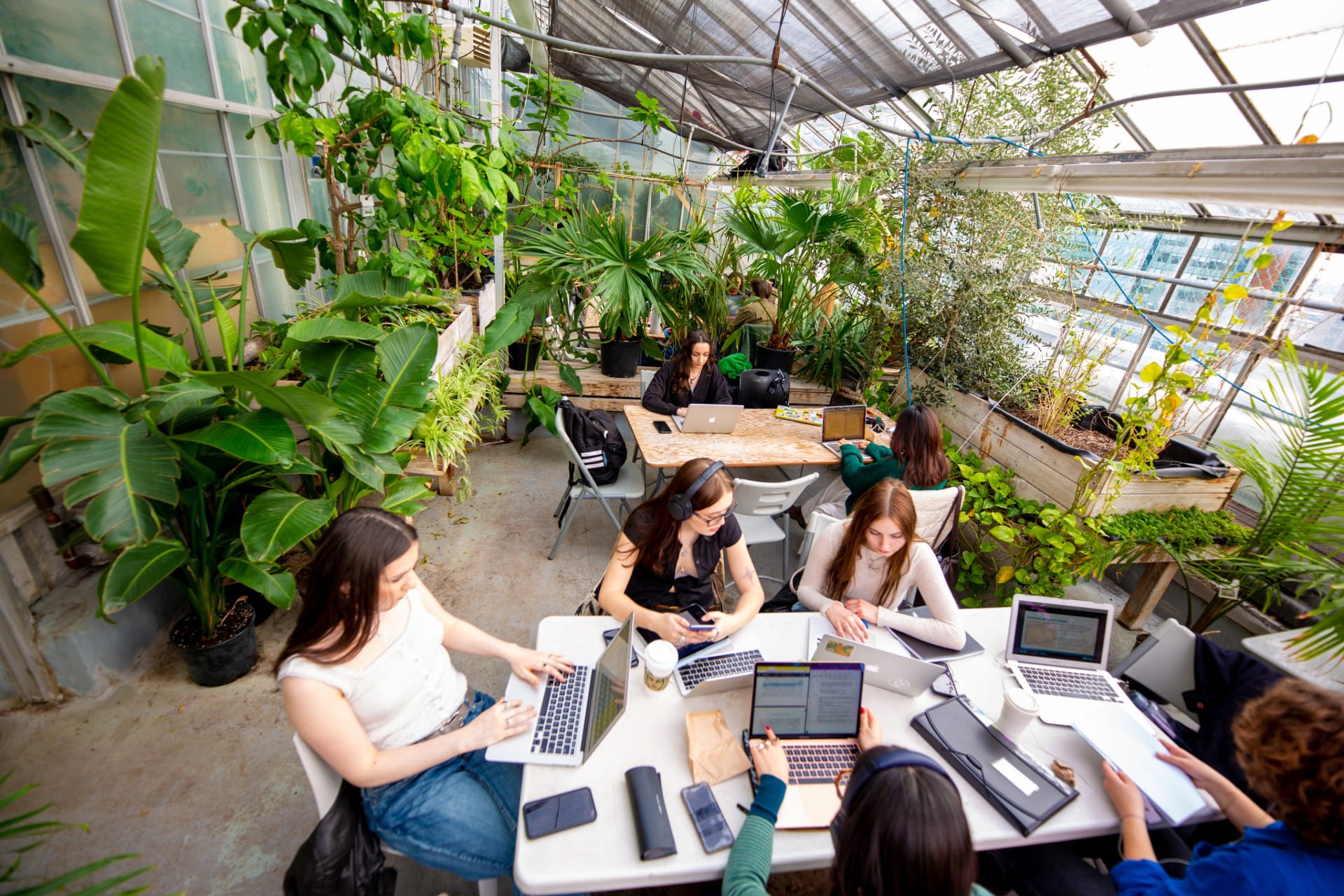Students studying at the greenhouse