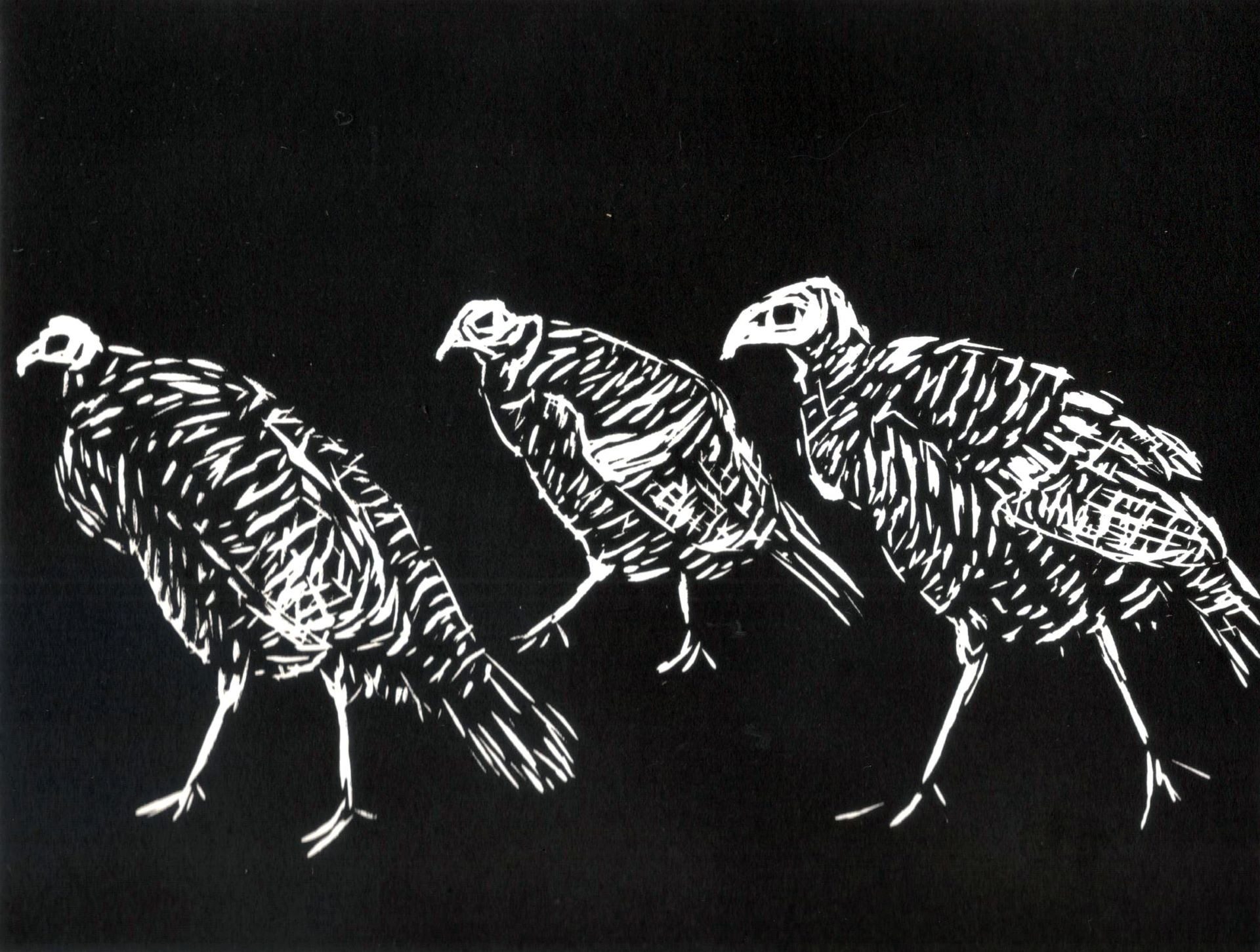 Black and white print of 2 pheasant like birds