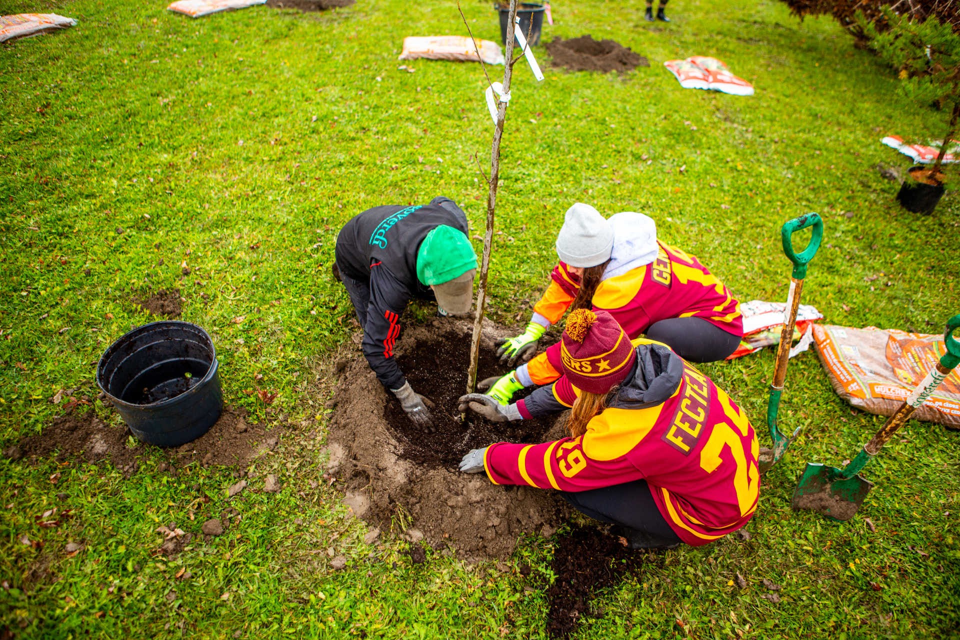 Concordia students planting trees on the Loyola campus in the fall of 2019 An aerial view of three people planting a tree in a round hole surrounded by green grass.