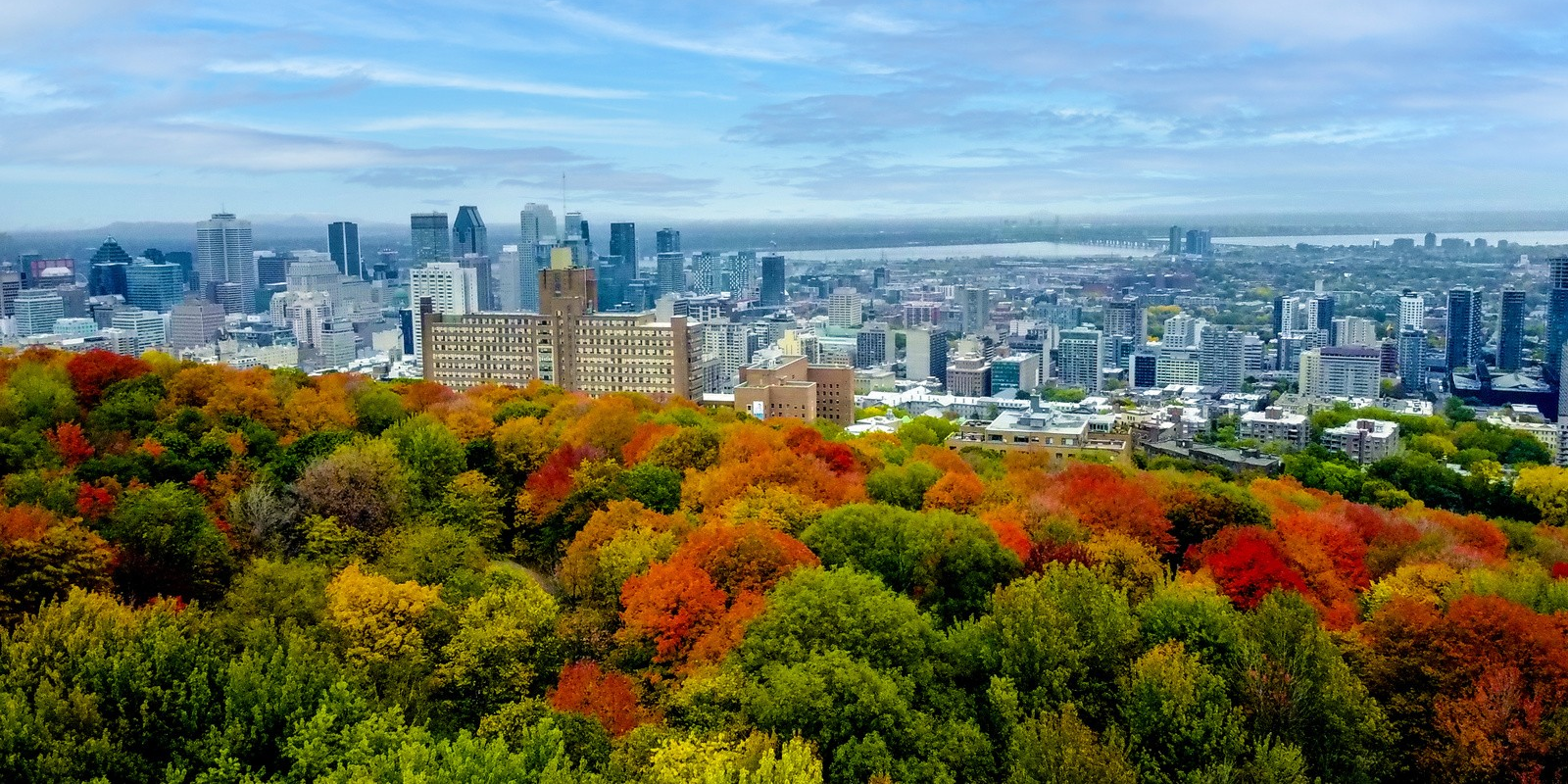 Renting in Montreal - Concordia University