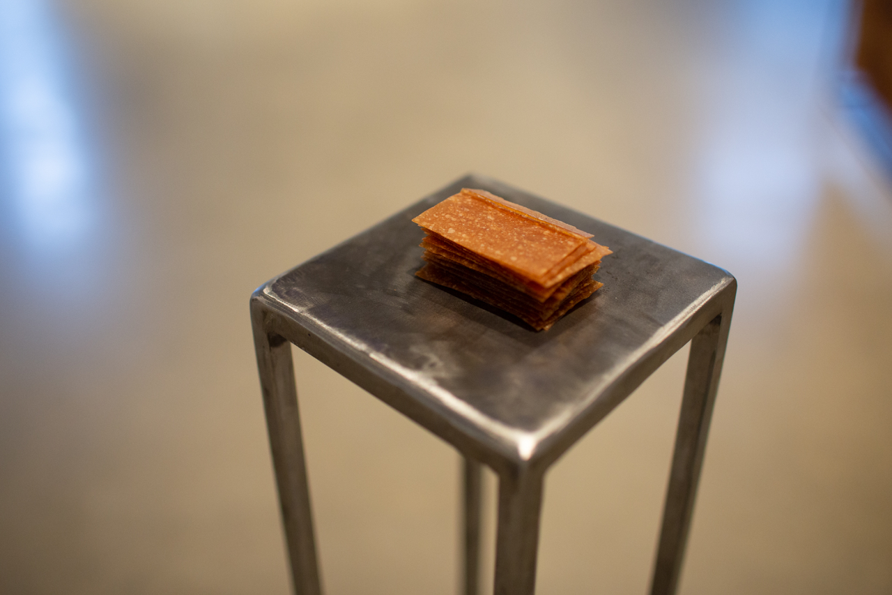 Detailed documentation of Mastication. Square pieces of fruit leather are available for the public to eat and presented on a narrow steel platform
