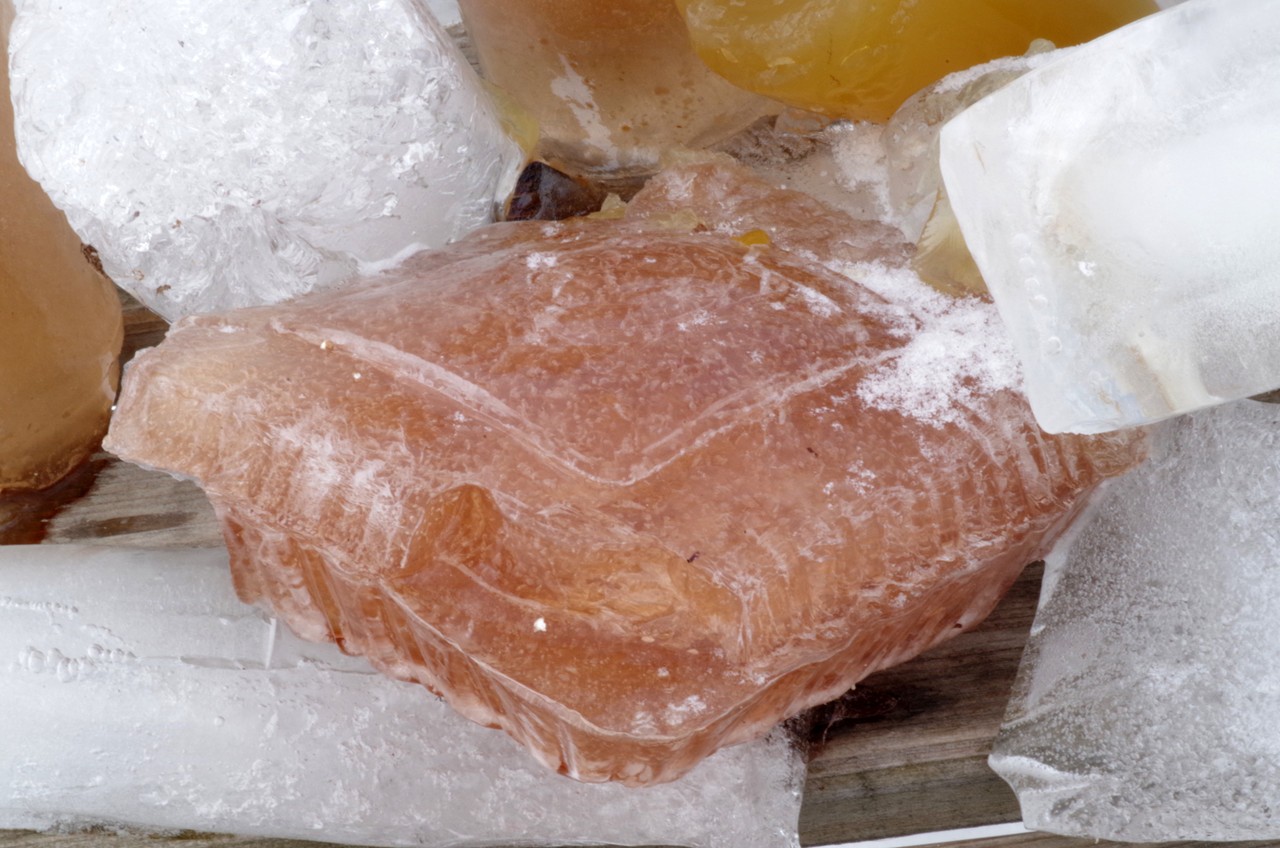 Photographie détaillée d'un récipient en plastique de myrtilles dans de l'agar congelé teinté d'orange clair
