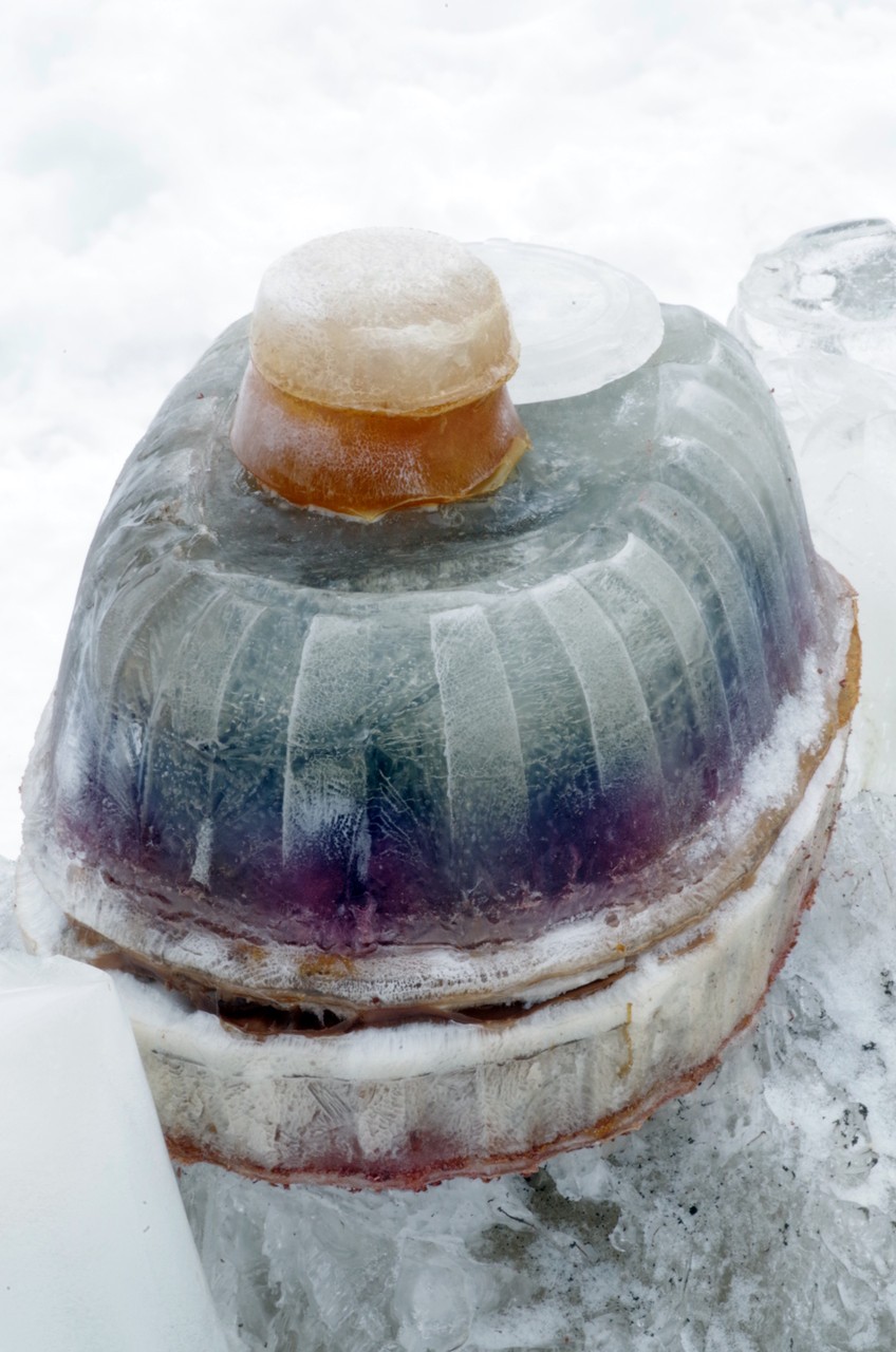 Photographie détaillée d'un récipient de poulet d'épicerie BBQ moulé dans la glace avec des colorants naturels. Des reproductions en agar congelé de récipients de sauce en plastique se trouvent sur le dessus du récipient de poulet rôti. 