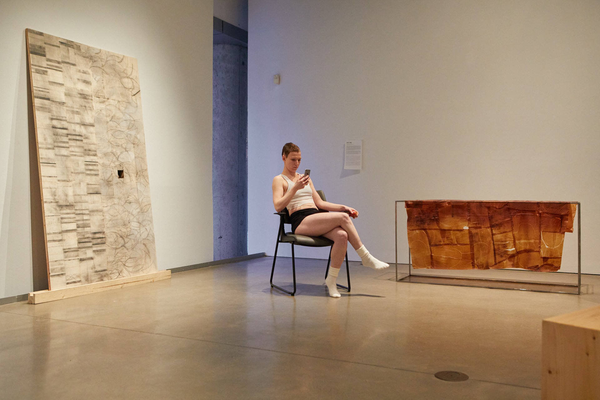 Anne-Marie Latulippe (alias "Steel Toes") est photographiée assise sur une chaise à côté de l'œuvre d'art Mastication de Lucy Gill. Elle tient un téléphone dans sa main gauche et une pomme dans sa main droite. Elle filme le public qui circule dans l'espace de la galerie.