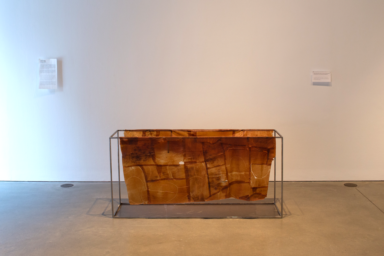 Photo de documentation de l'oeuvre Mastication montrant un grand morceau de cuir de pomme drapé sur un cadre rectangulaire en acier.