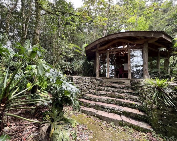 A house with windows in the forest in Costa Rica.