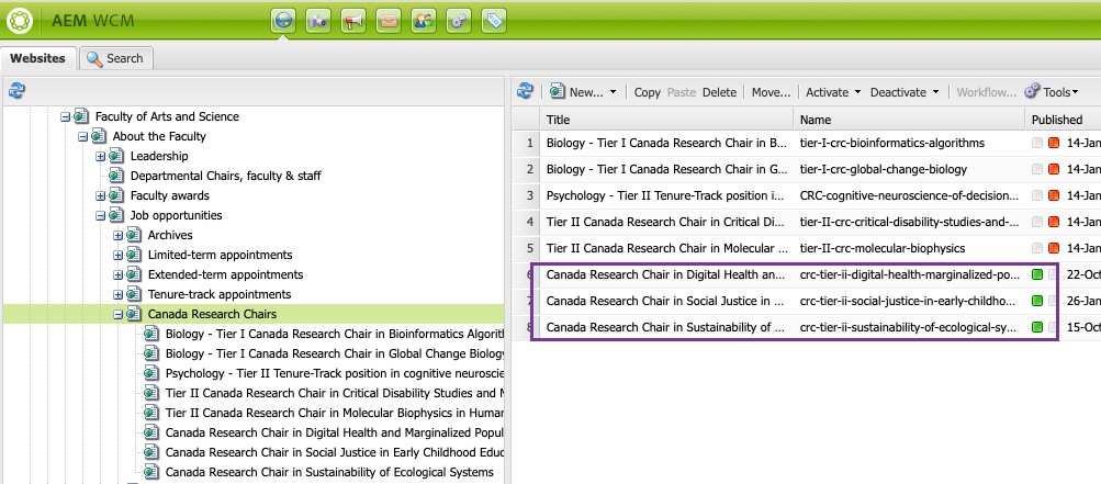 Pages for the Canada Research Chairs in the AEM tree structure