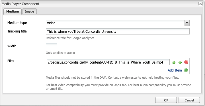 Screen capture of the settings in the Medium tab of AEM's Media Player component for an embedded video
