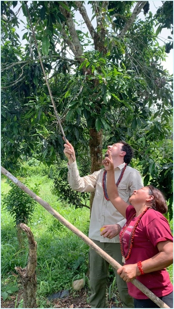 Forêt de l'Amazonie avec deux personnes