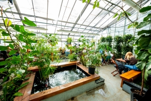 Indoor photo of greenhouse with fish pond