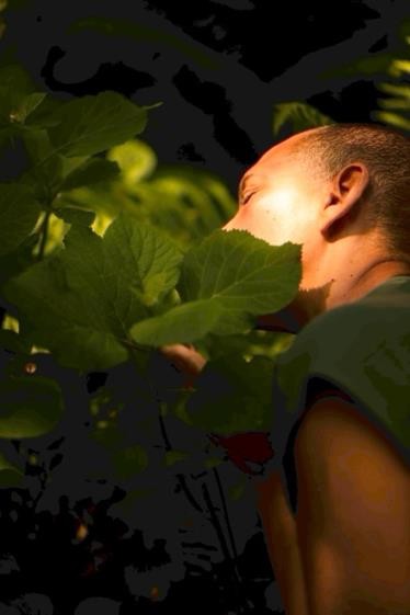 A photo of a woman seen from the side, her face partially covered in foliage.