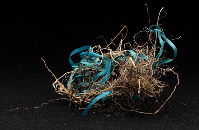  Cluster of grasses mixed with plastic waste. Looks like a nest.