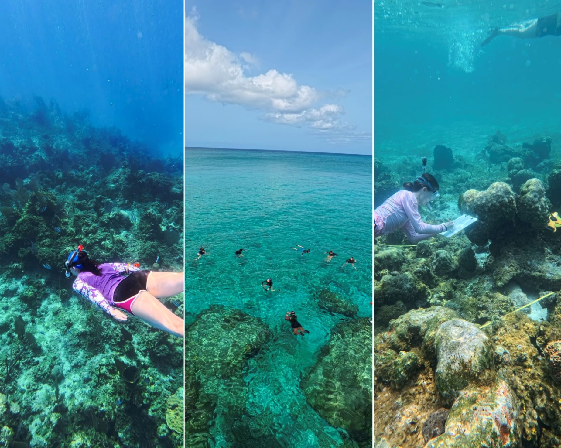 Biology undergrads explore coral reef ecology up close, in the Bahamas