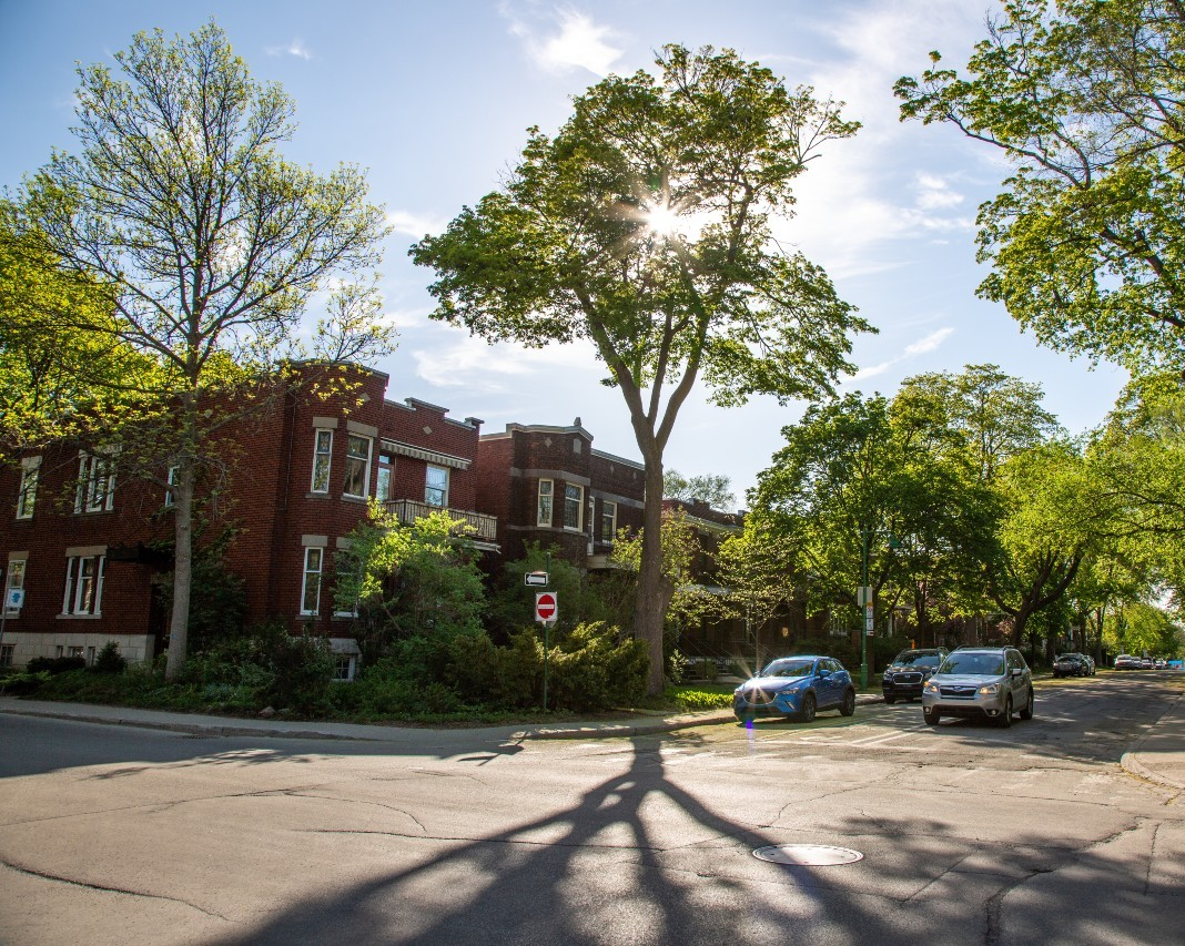 Canada's resilient real estate market offers confidence in a world of climate uncertainty