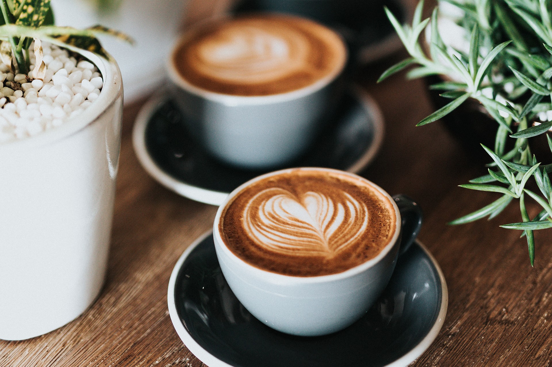 Rave Coffee inviting coffee lovers to its new headquarters in heart of  Cirencester - The Business Magazine
