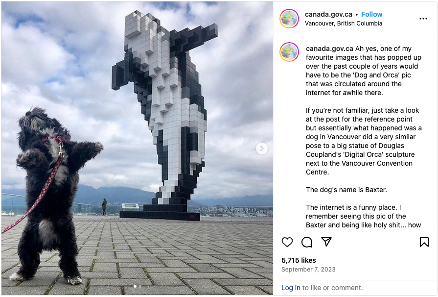 Dog stands on hind legs mimicking a statue of an 8-bit orca whale breaching out of the water 