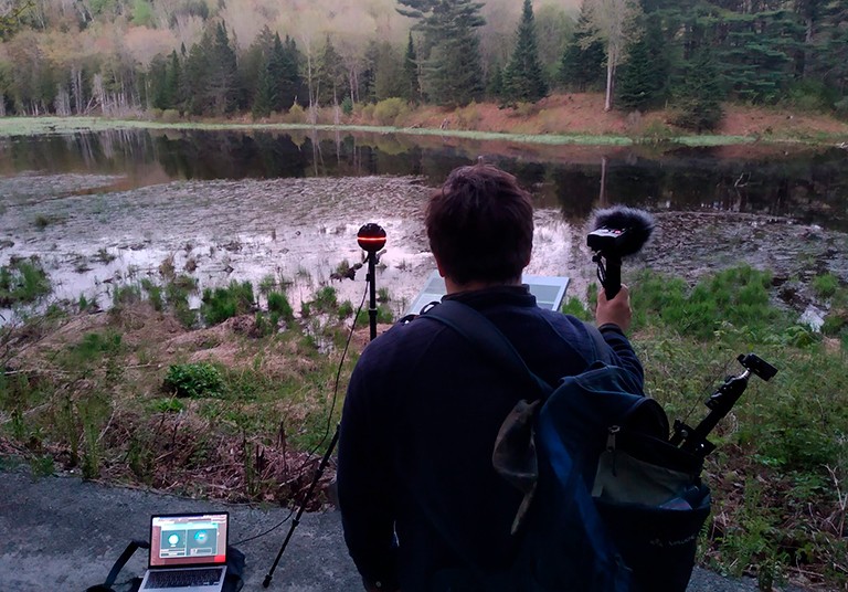 Un homme vu de dos enregistrant des paysages sonores de la nature dans une zone boisée traversée par un ruisseau.