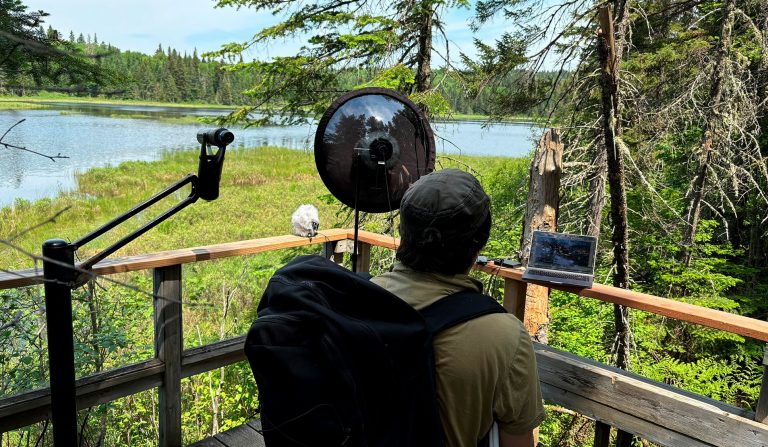 View of the back of a seated person with a backpack with recording equipment on a deck, in an exterior natural environment with vegetation and a lake.