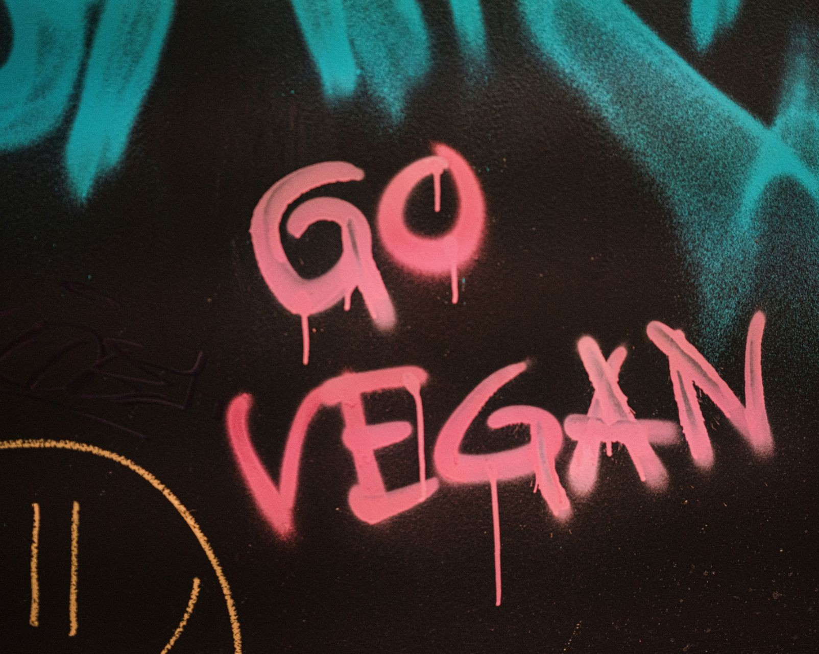 Vegans develop complex skills to navigate an omnivorous society, new Concordia research shows