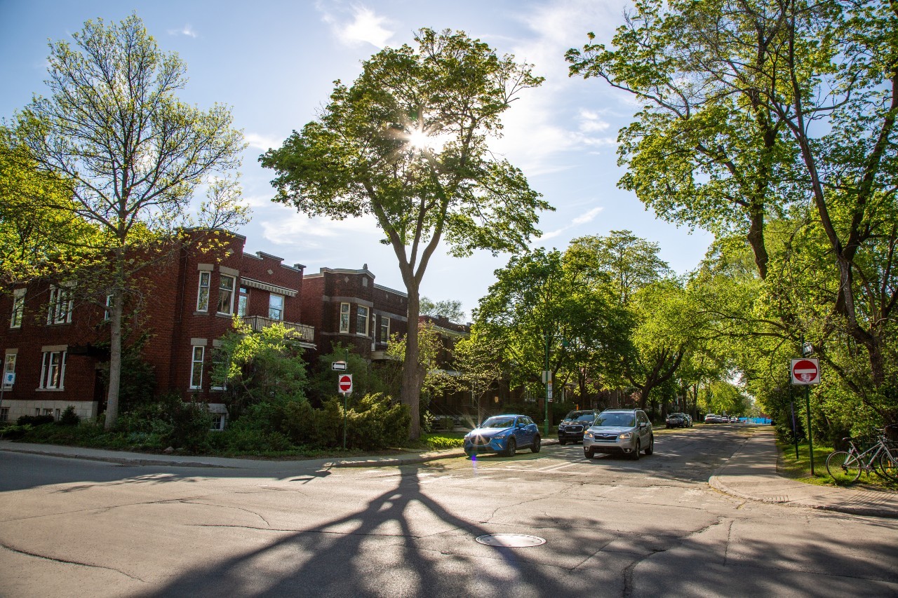 Un complexe d'appartements en briques